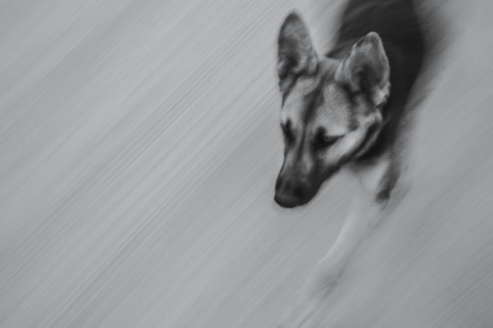 Photograph by Виктор Саврей