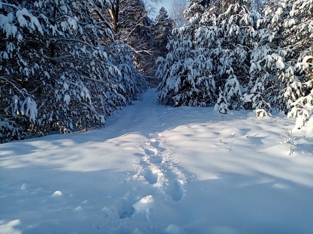 Photograph by Михаил Царикевич