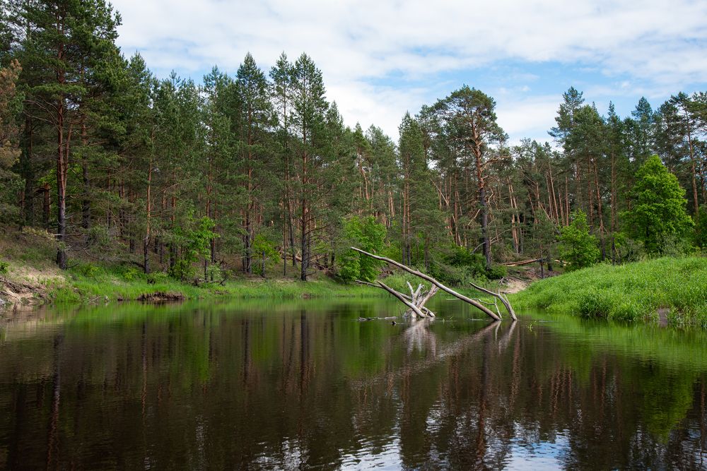 Photograph by Глеб Бухало