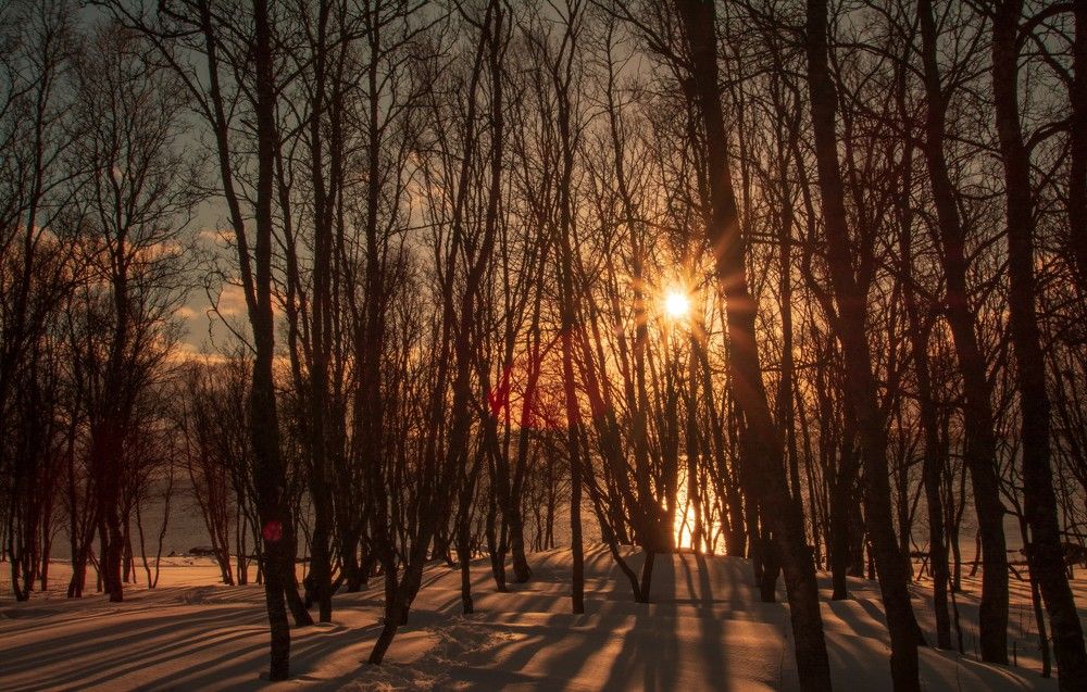 Photograph by Mahmud Tareq Khan