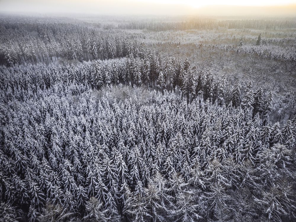 Photograph by Dani Wieczorek