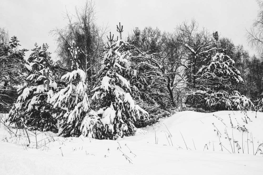 Photograph by Наталья Ивочкина