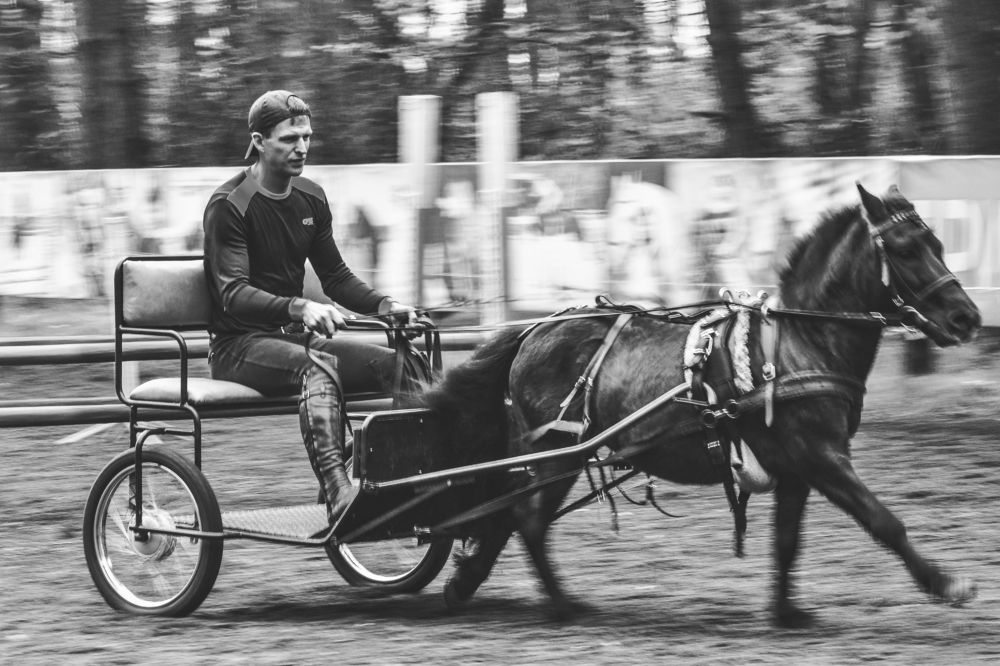 Photograph by Наталья Ивочкина