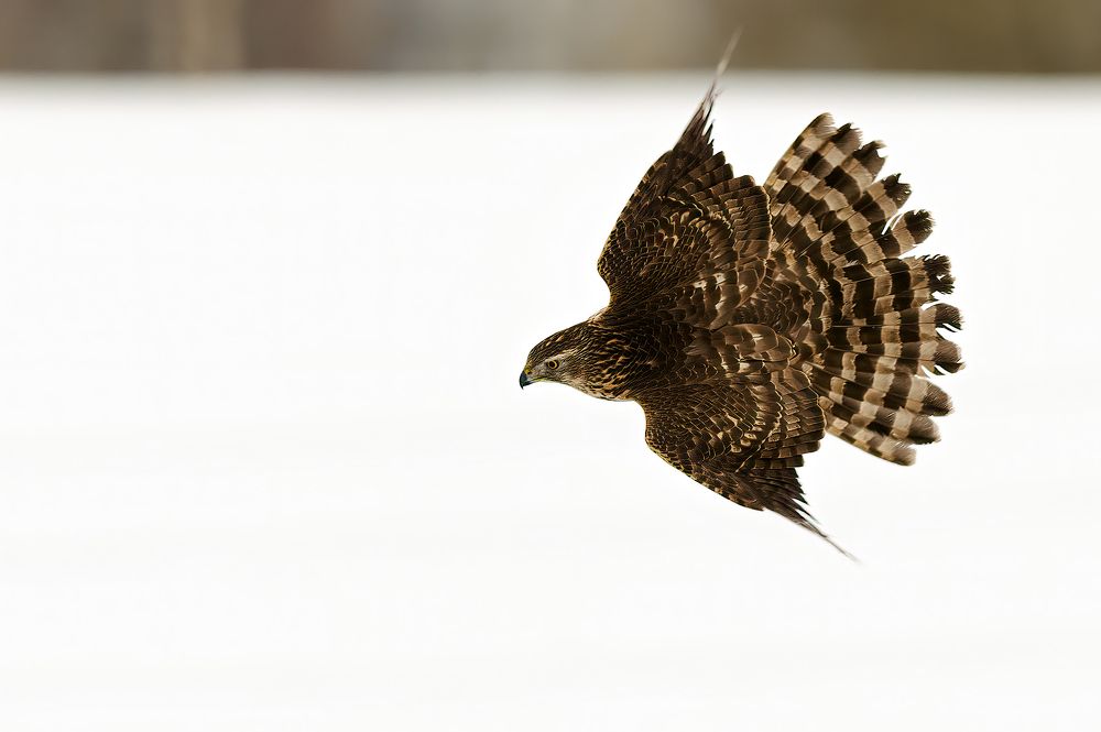 Photograph by Калинин Михаил