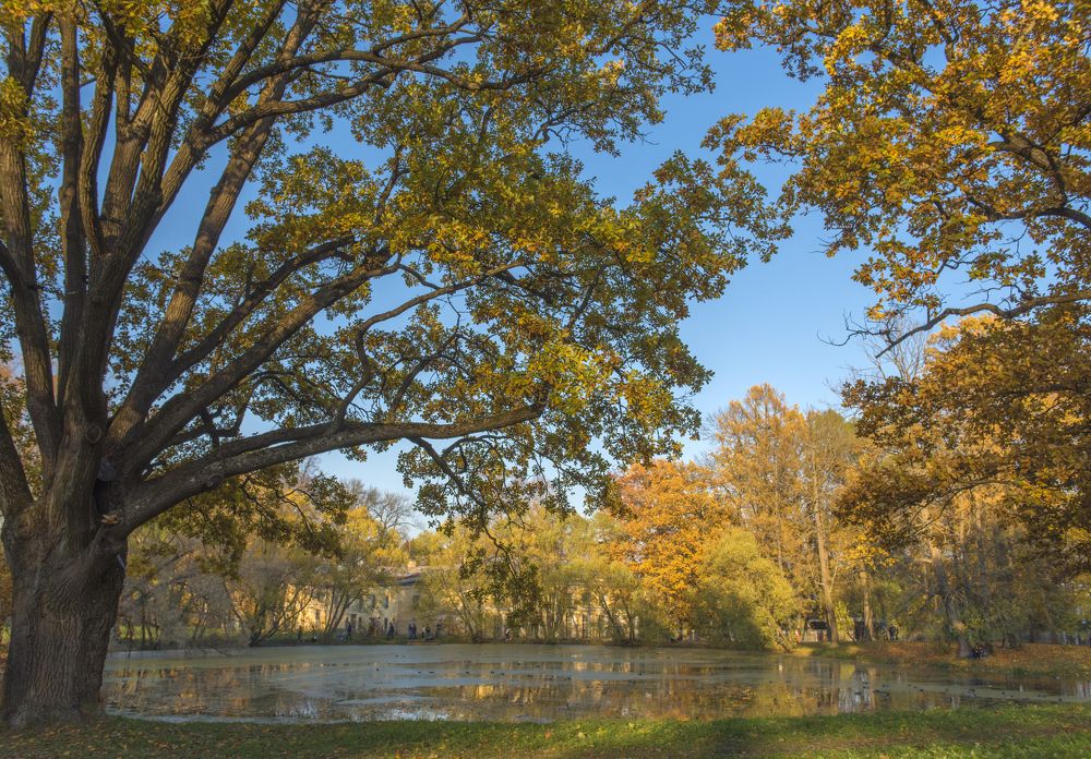Photograph by Анна Кривицкая