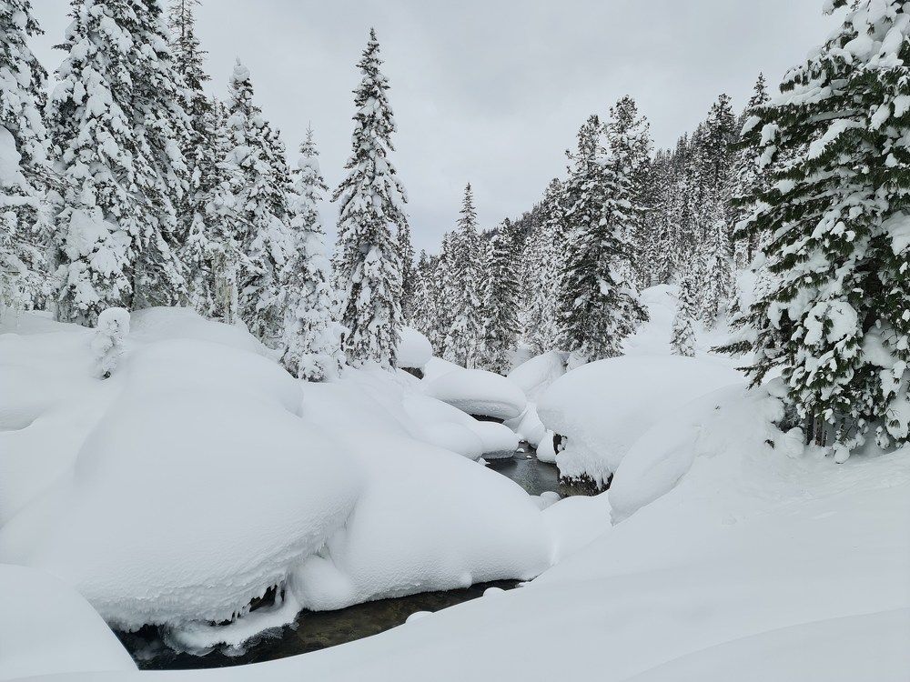 Photograph by Алексей Миронов