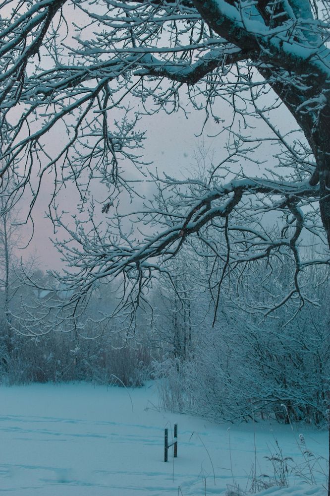 Photograph by Анна Полякова
