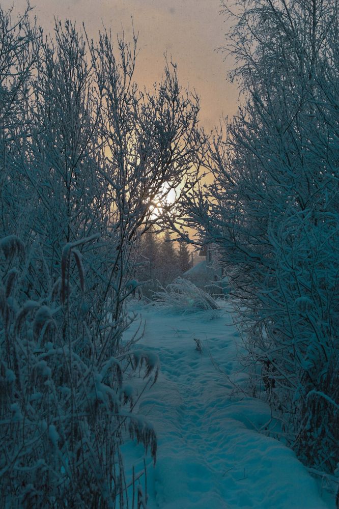 Photograph by Анна Полякова