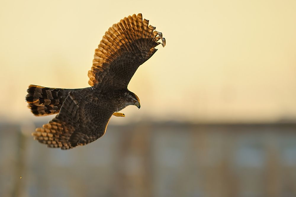 Photograph by Калинин Михаил