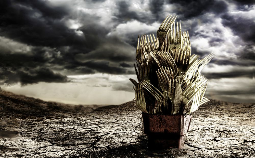 Photograph by Judit Mikol