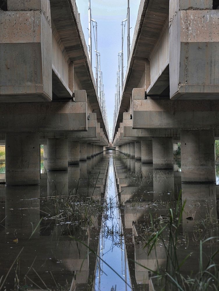 Photograph by Amin Golestanipour