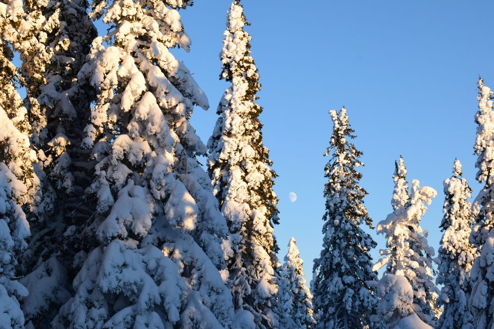 Photograph by Екатерина Чёрная