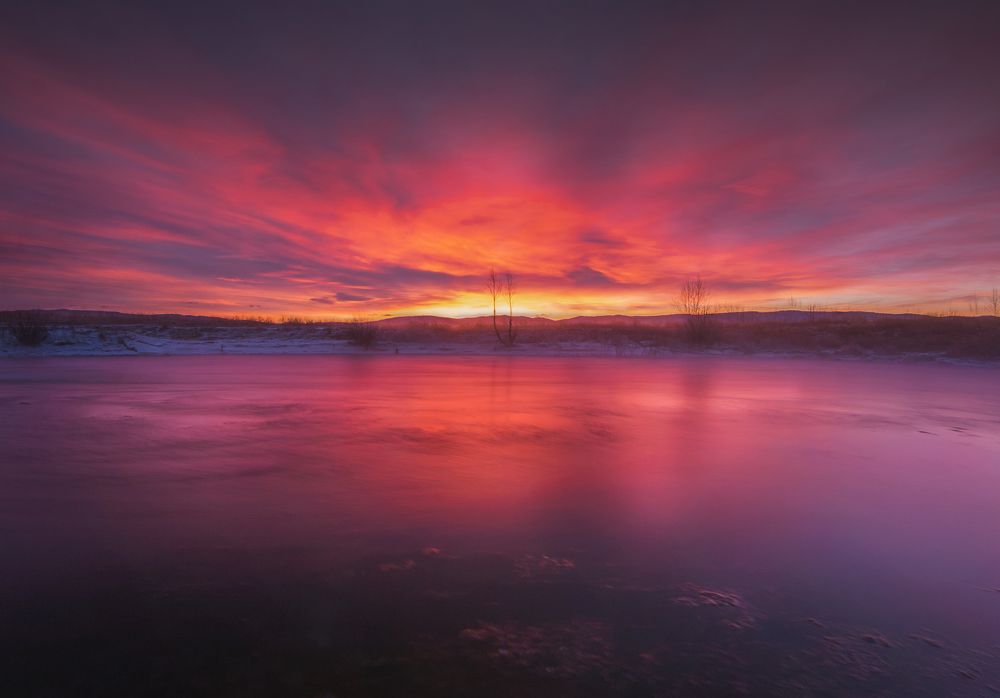 Photograph by Портных Дмитрий