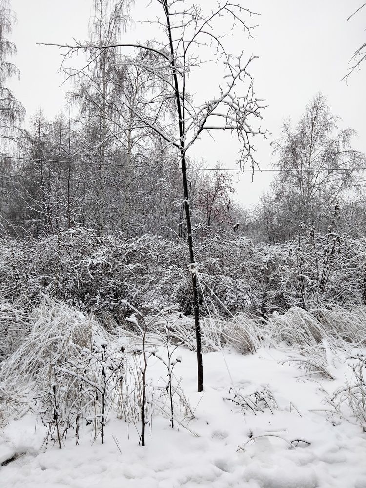 Photo #8526311