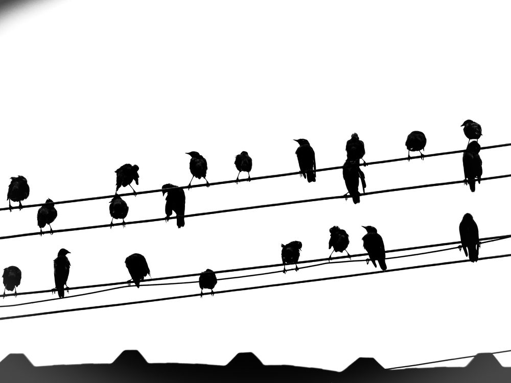 Photograph by Susmita Paul