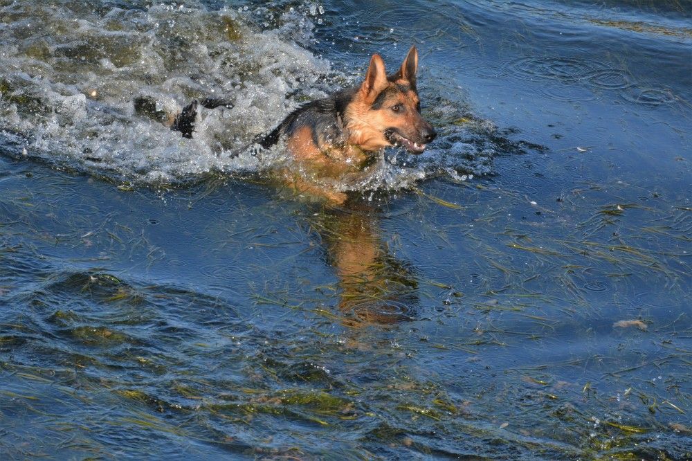 Photograph by Анатолий Каминский