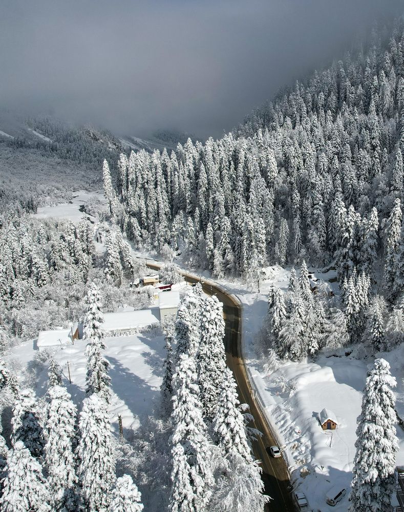 Photograph by Дмитрий Костяков