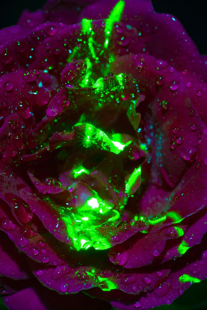 Photograph by Ангелина Журавлева