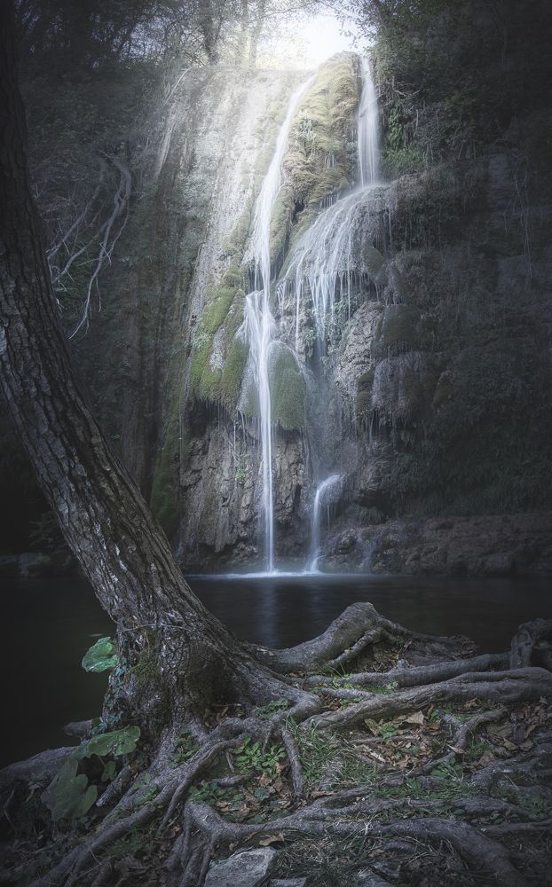Фотография автора Andrea Bartoli