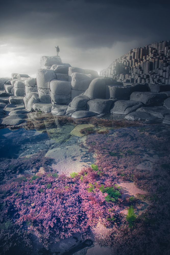 Фотография автора Andrea Bartoli