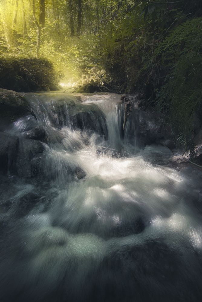 Фотография автора Andrea Bartoli