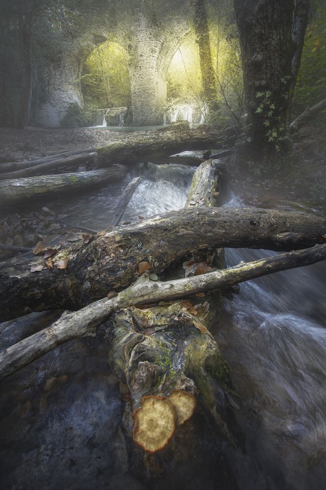 Фотография автора Andrea Bartoli