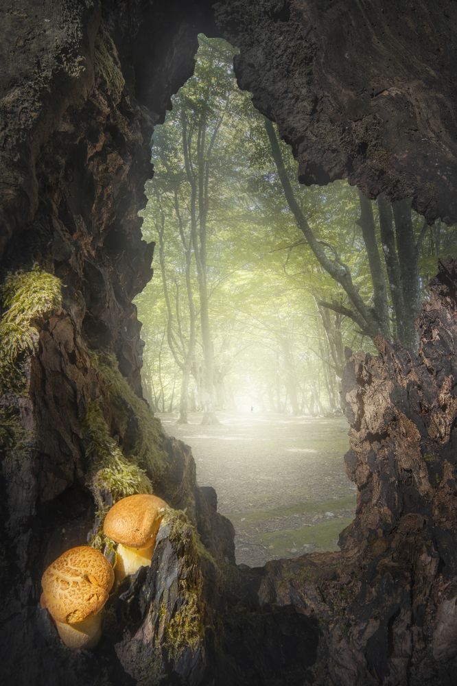 Фотография автора Andrea Bartoli