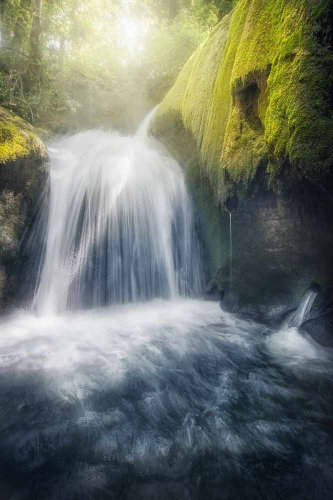 Фотография автора Andrea Bartoli