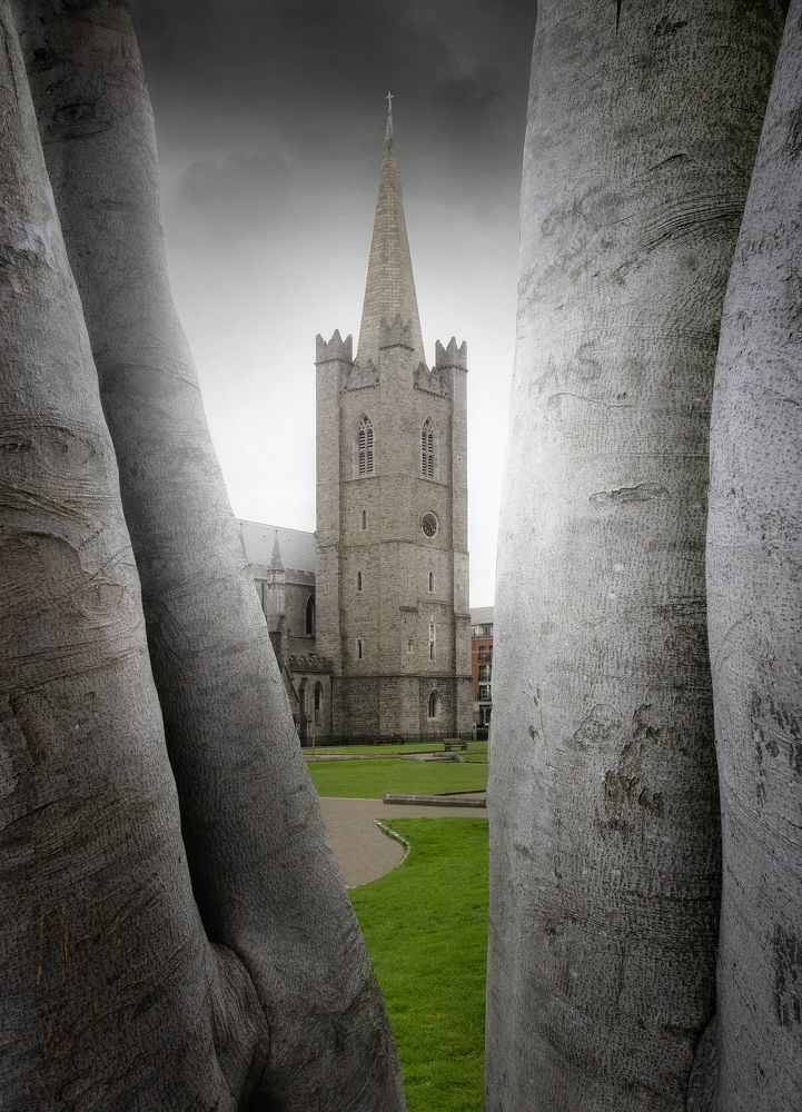 Фотография автора Andrea Bartoli