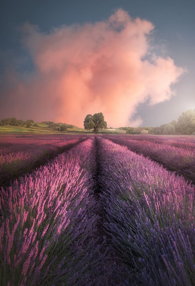 Фотография автора Andrea Bartoli