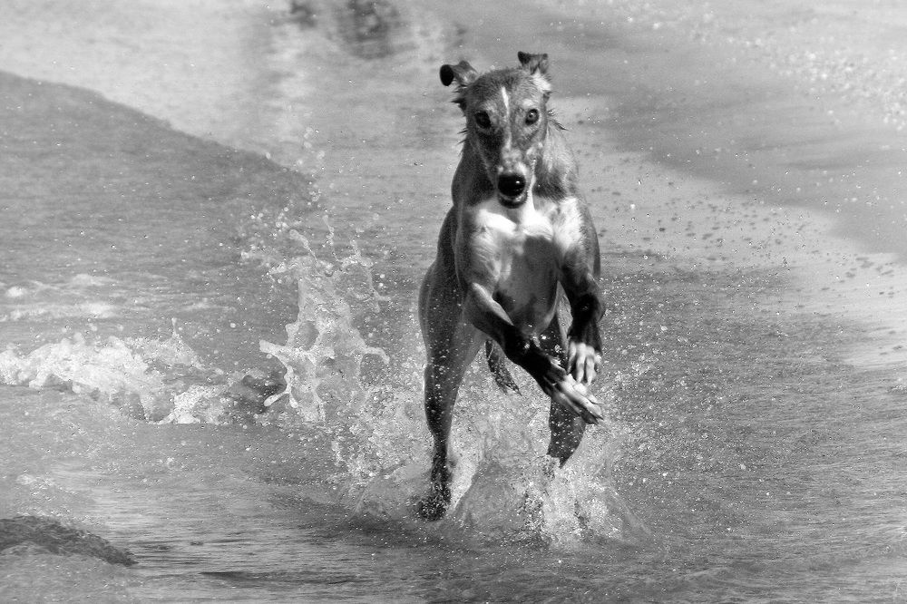 Photograph by Галина Ильясова