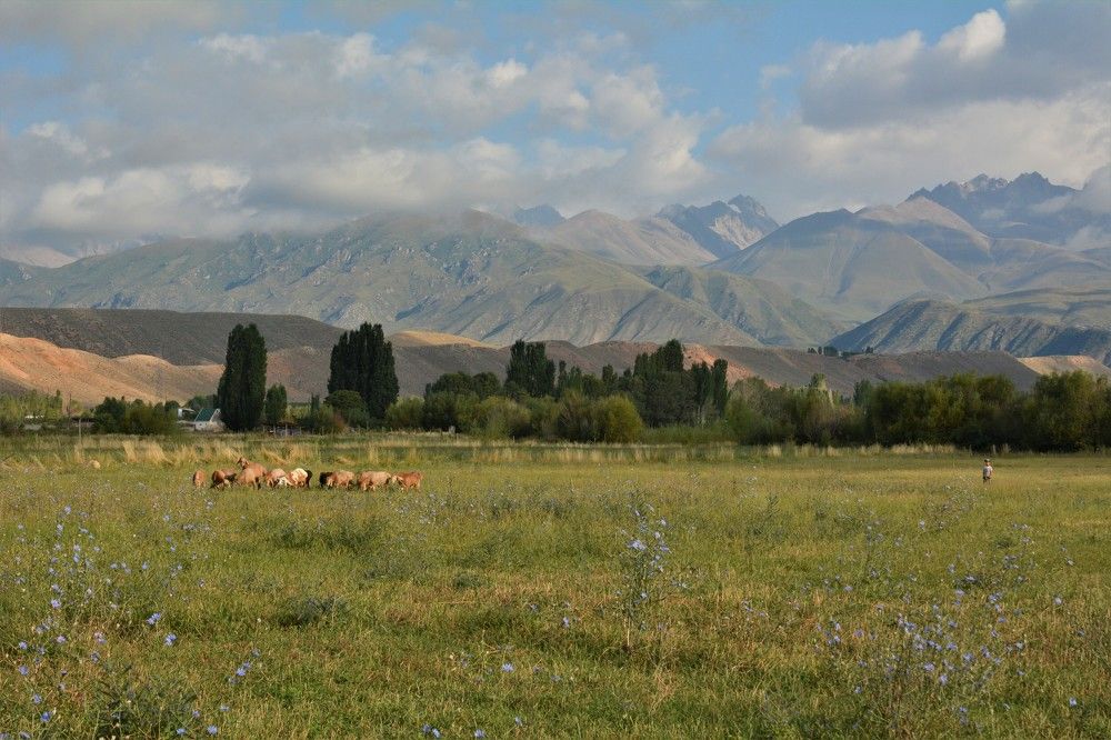 Photograph by Анатолий Каминский