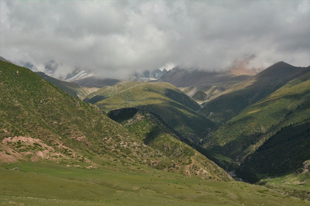 Photograph by Анатолий Каминский