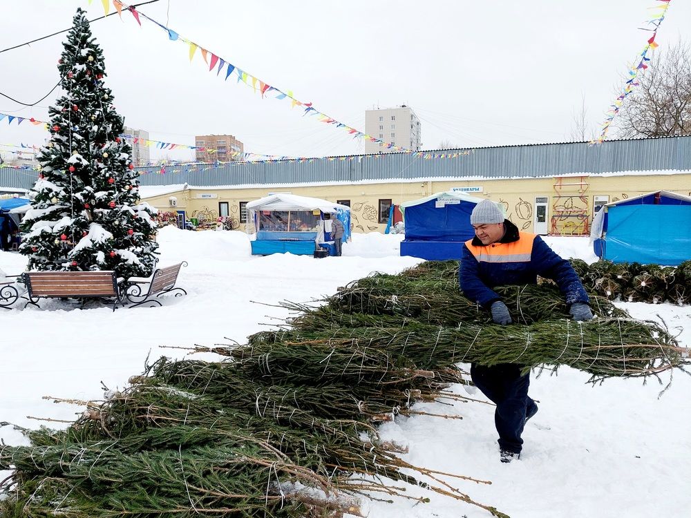 Photograph by Елена Тимченко