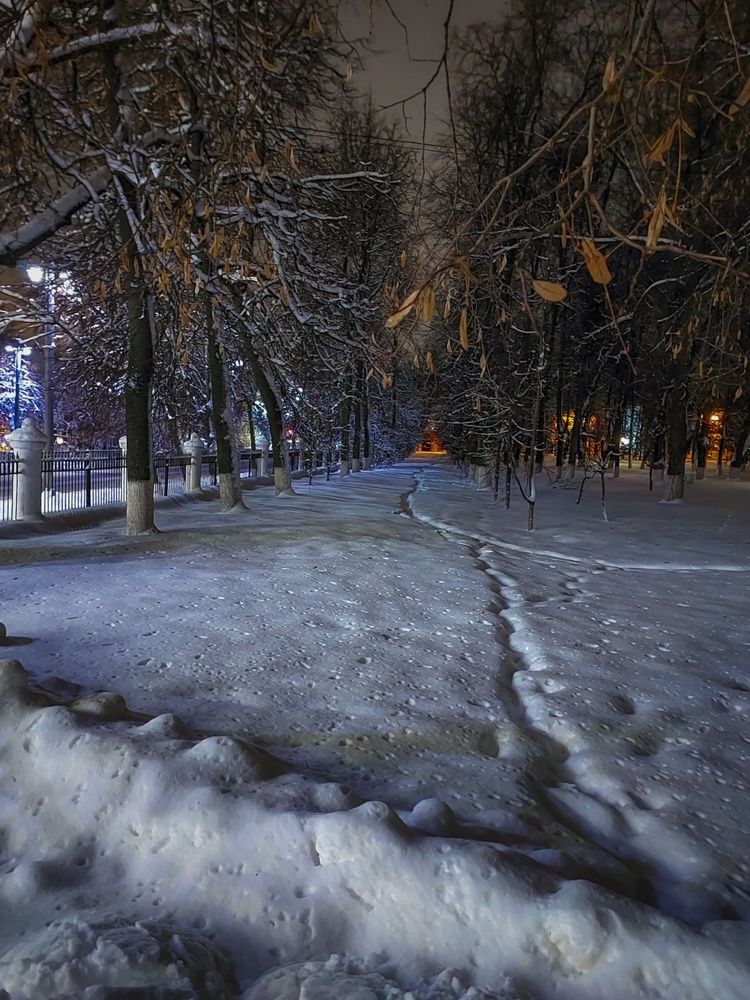 Photograph by Ольга Бородина