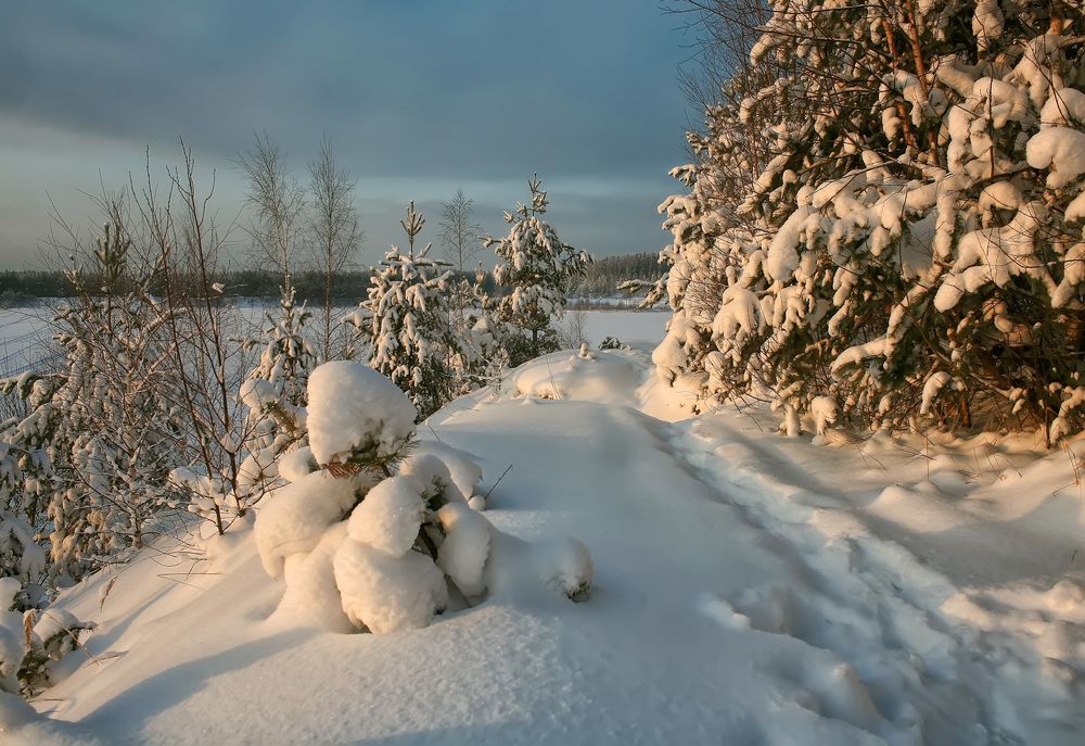 Photograph by Владимир Архипов