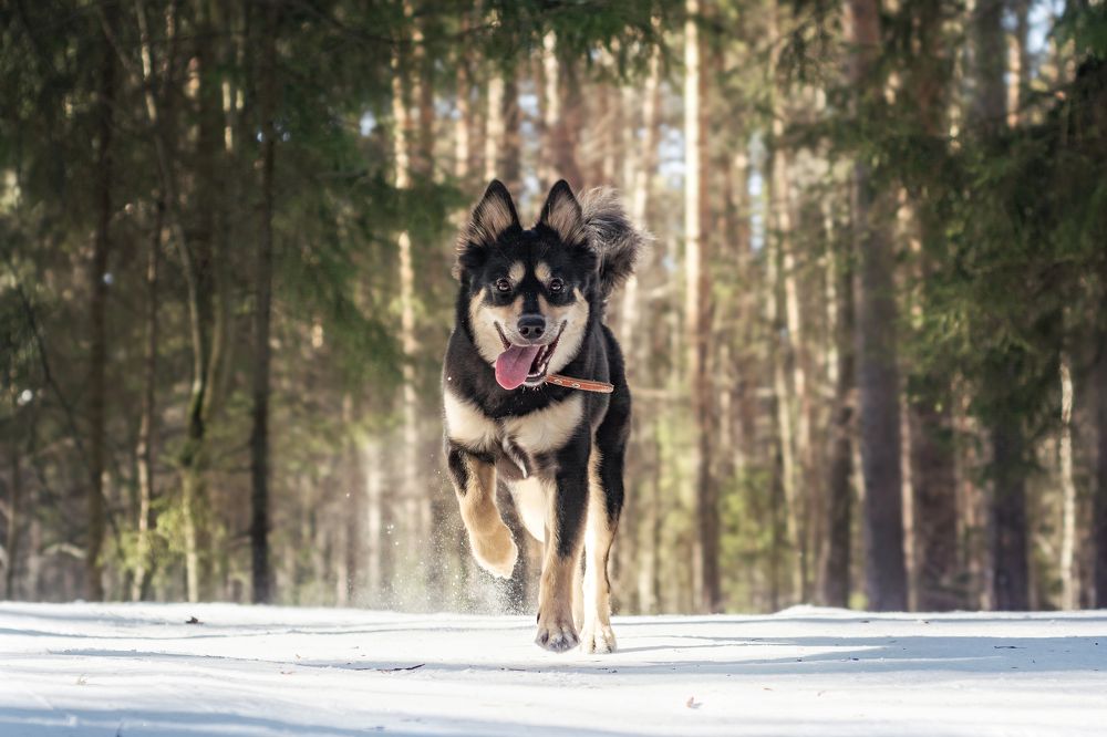 Photograph by Соколова Елена