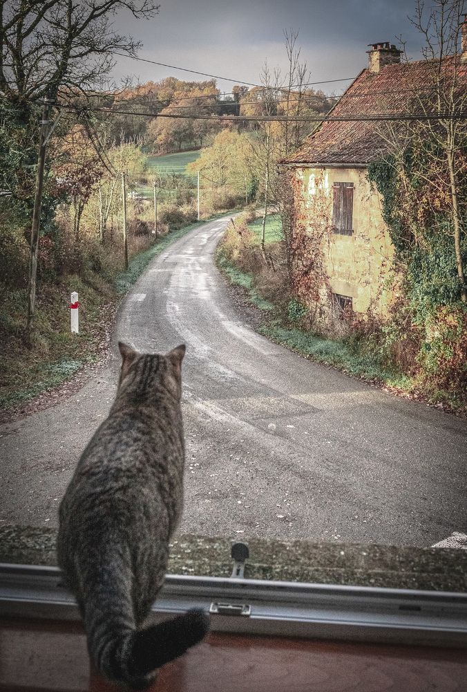 Фотография автора Анна Бориснёва