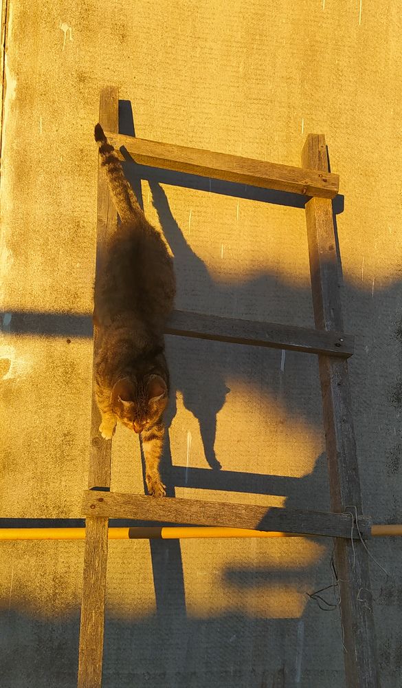 Photograph by Виталий Грачёв