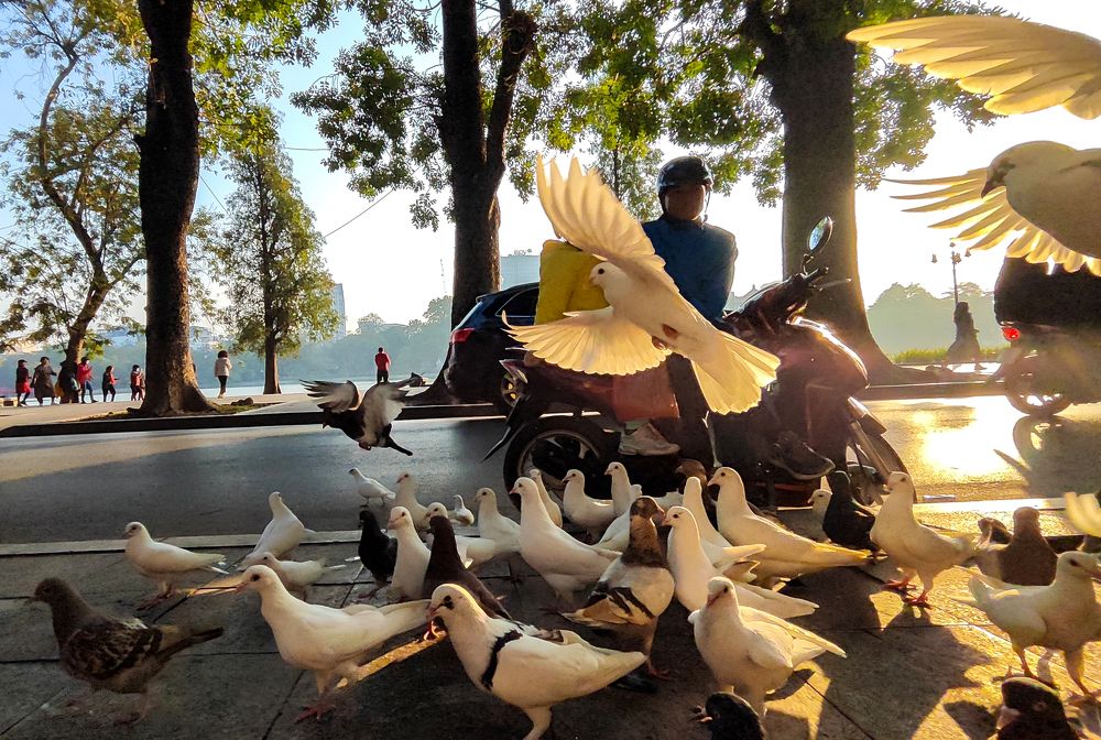 Photograph by Ba Hung Do