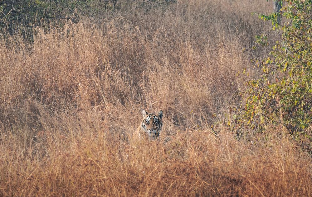 Photograph by Эрнест Вахеди