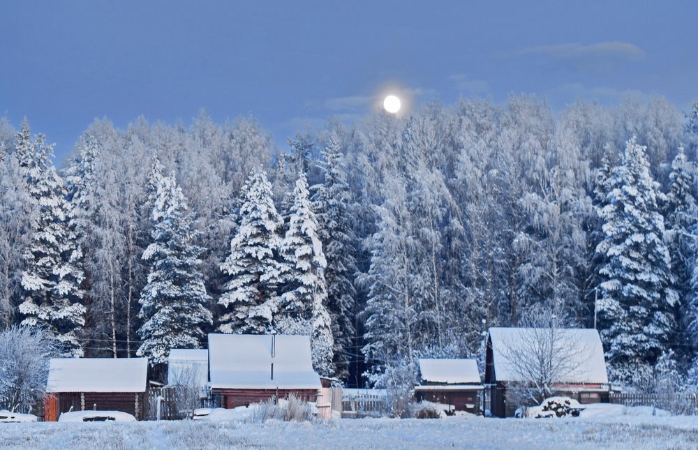 На лесной опушке.