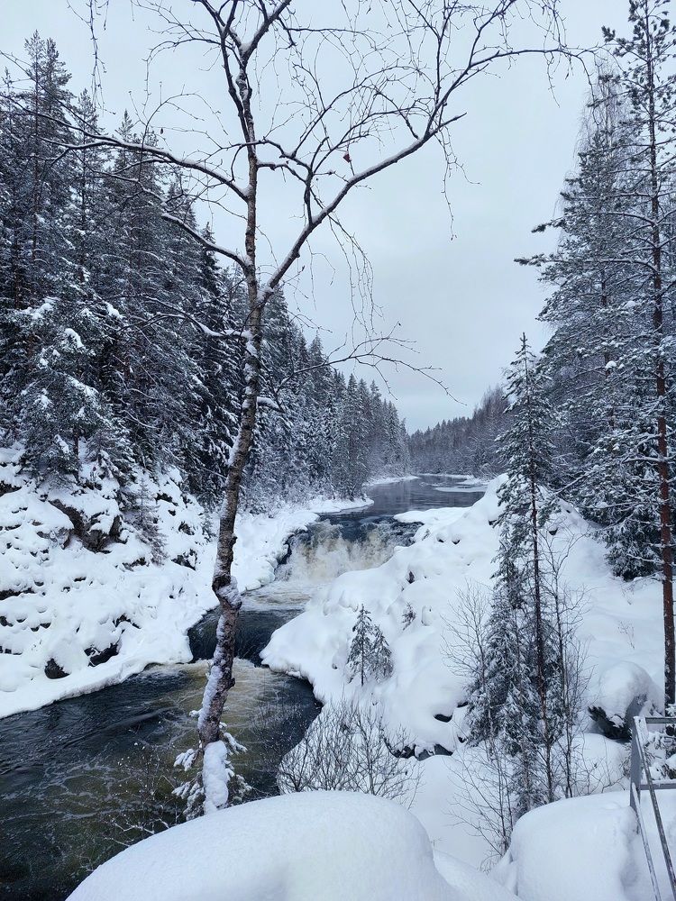 Photograph by Юлия Журавлёва