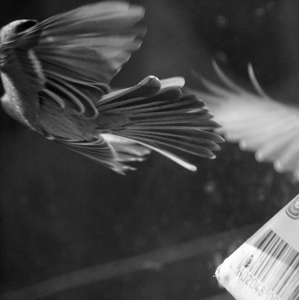 Photograph by Юлия Журавлёва