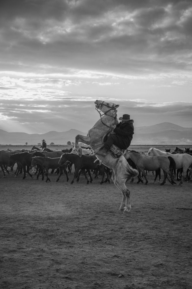 Photograph by mevlüt bilir