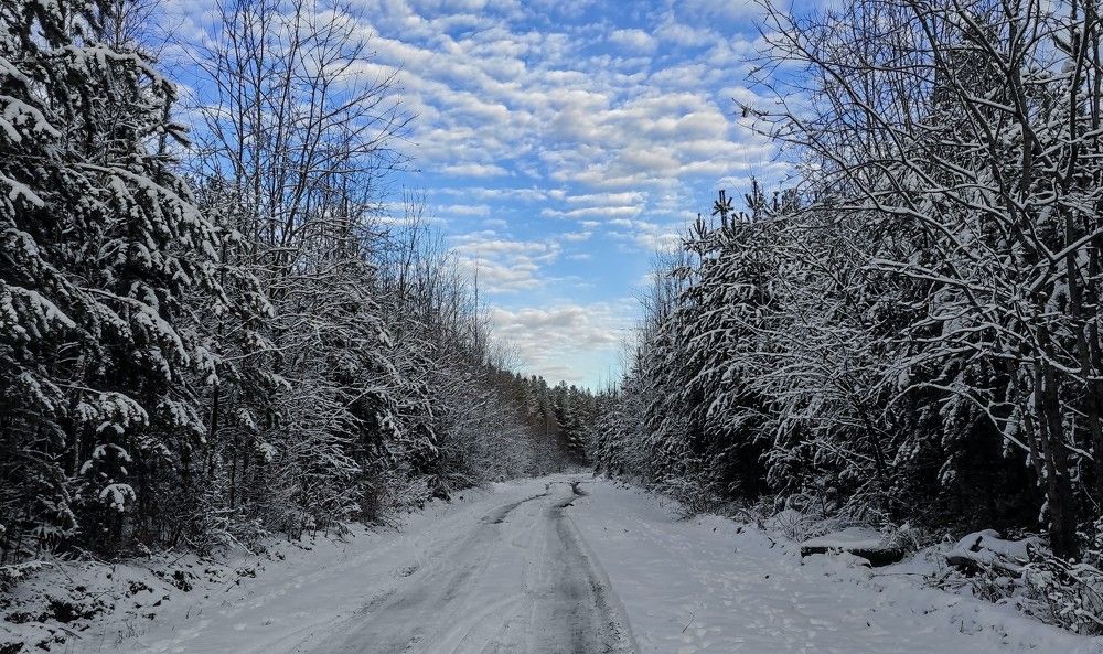 Photograph by Ирина Саттарова