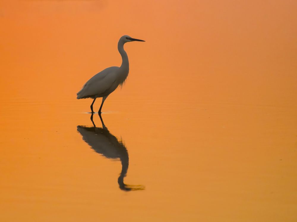 Photograph by Gotcha Biniashvili