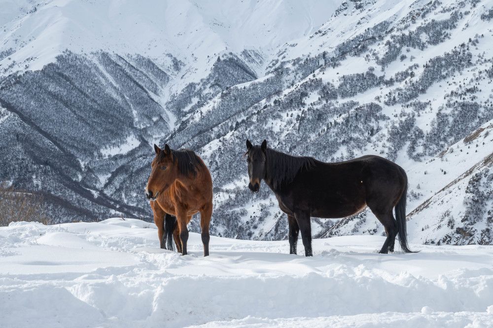 Фотография автора Оксана Белозерская