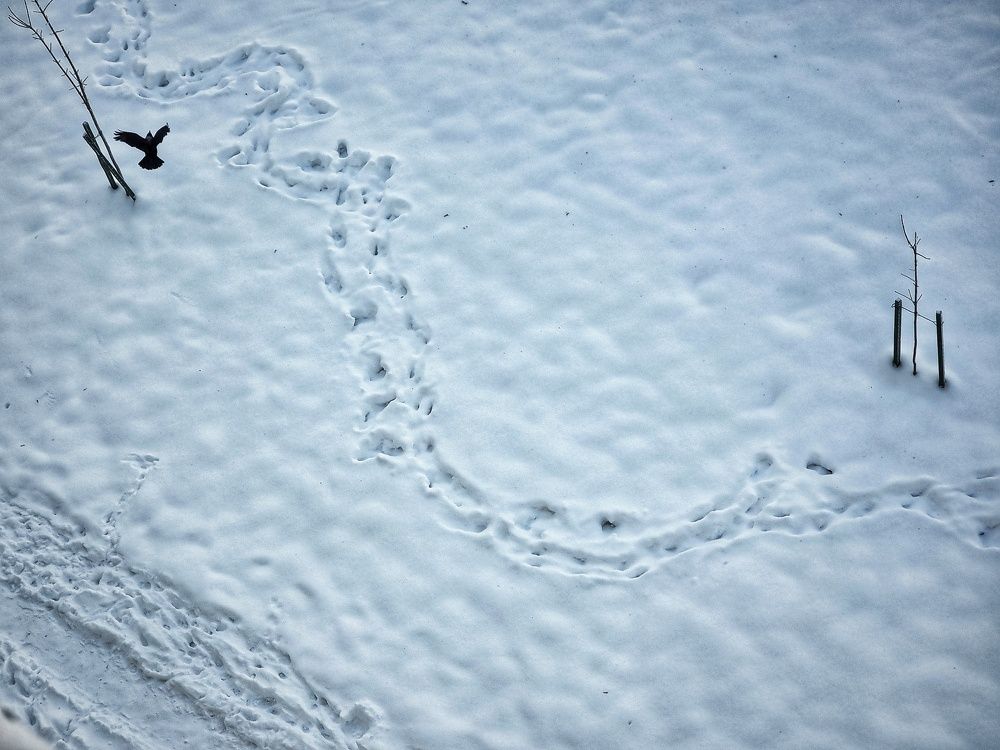 Фотография автора Дана Богинская