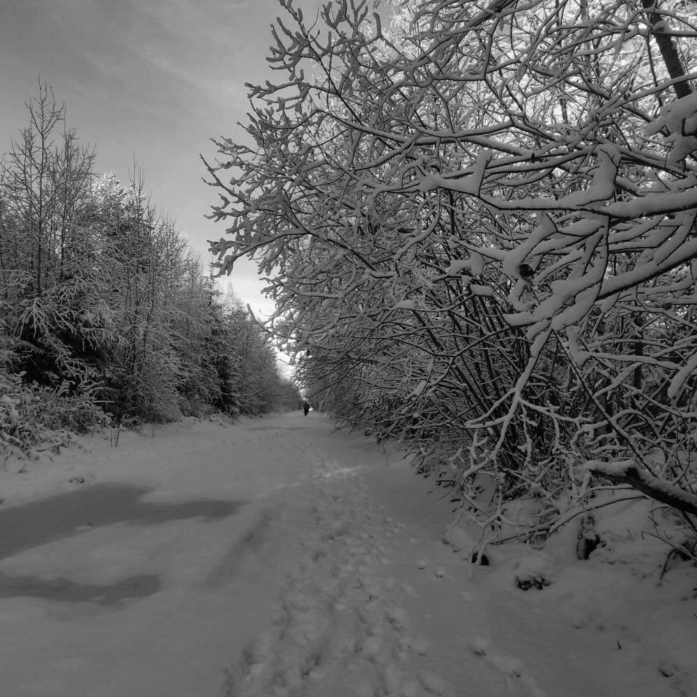 Photograph by Ирина Саттарова